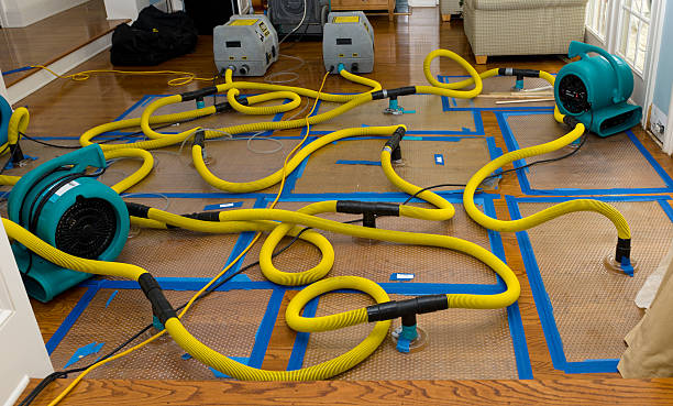 Professional Water Damage Repair technician working in Cherry Fork, OH